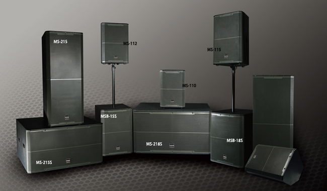 雷威 Reever MS-215 雙15寸專業(yè)全頻音箱